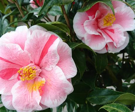 ツインレイ ツインソウルのご相談を承ります サイレント期間で地獄のような日々を送っているあなたへ 恋愛相談 アドバイス ココナラ ツインレイ ツインソウルのご相談を承ります サイレント期間で地獄のような日々を送っているあなたへ 恋愛相談 アドバイス ココナラ