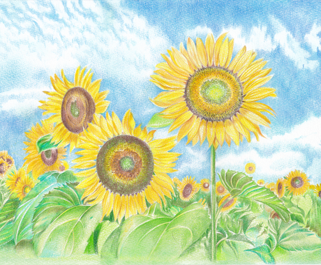 色鉛筆の柔らかいタッチでほんわかイラスト描きます インテリア 贈り物 ポストカード 年賀状にいかがですか イラスト作成 ココナラ