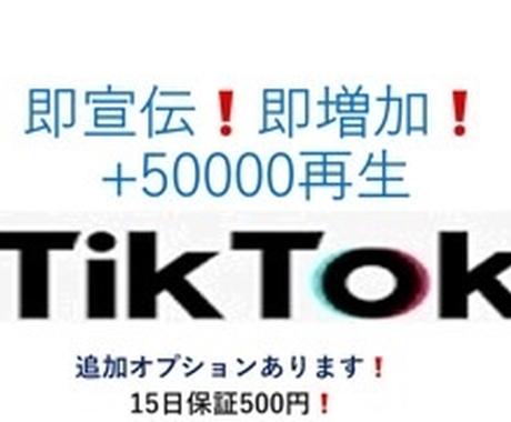 Tiktok再生回数+50000回まで宣伝します 即増加＆追加オプション多数あります イメージ1