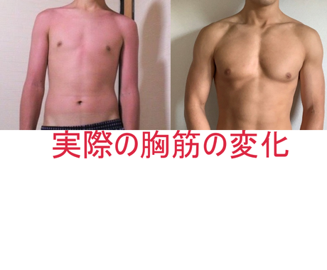 胸筋を鍛える あなたに最適な 筋トレ法を教えます 胸筋がつかない理由をコンサルティングして最適な筋トレ法を提供 ダイエット エクササイズの相談 ココナラ