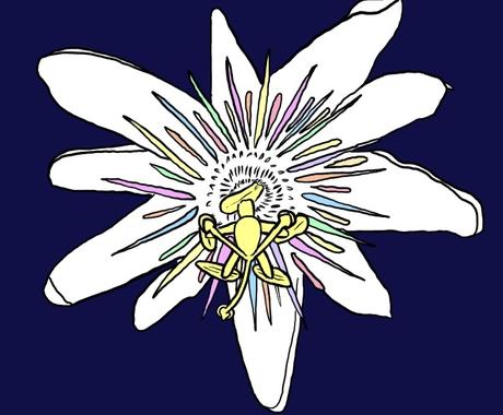 花が好きな方へ個性的な花のデザインをします 個性的な花のデザインが好きな人はぜひどうぞ イラスト作成 ココナラ