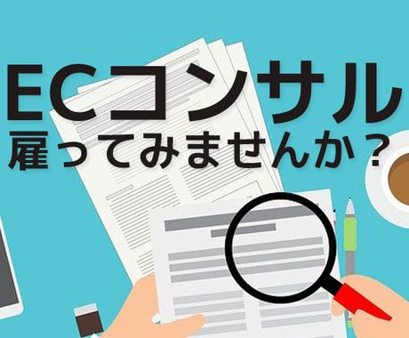 Amazon Ecコンサル 運用代行 ココナラ