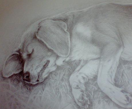 ペットの似顔絵を鉛筆で描きます 大好きなペットとの思い出を鉛筆画にしてみませんか ペットイラスト作成 ココナラ ペットの似顔絵を鉛筆で描きます 大好きなペットとの思い出を鉛筆画にしてみませんか ペットイラスト作成 ココナラ