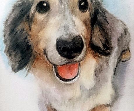 期間限定 ペット色鉛筆画描きます プレゼントや思い出作りに温もりのある一枚をどうぞ ペットイラスト作成 ココナラ