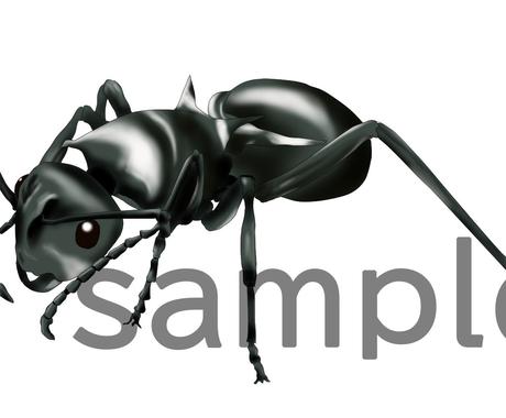 昆虫のイラスト書きます サンプルのようなイラストを描きます イラスト作成 ココナラ