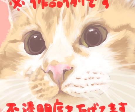 はがきサイズでねこちゃんのお顔イラスト描きます Snsアイコンサイズなど大きさ調整もok ペットイラスト作成 ココナラ