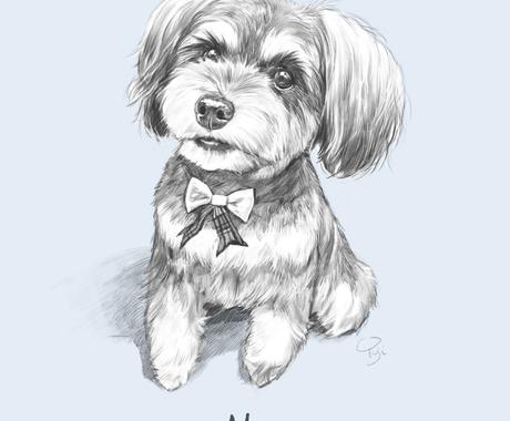 ペットの鉛筆画を描きます 大切なペットを世界に１つだけのアート作品に ペットイラスト作成 ココナラ