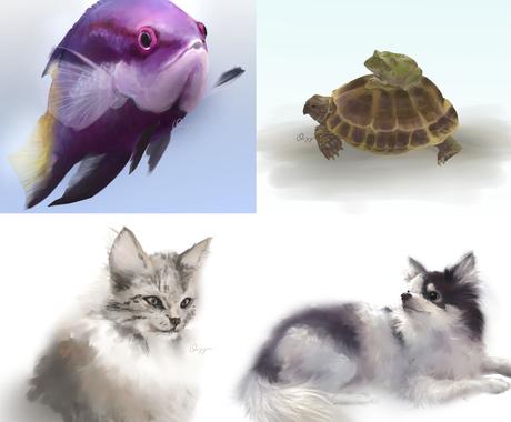 アクアリウム 犬 猫 爬虫類イラスト作成します 魚 犬 猫ほか爬虫類 両生類 虫 奇蟲ok 甲殻類など ペットイラスト作成 ココナラ