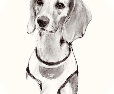 ペットのモノクロイラストお描きします あなたの可愛いペットの絵をおうちに飾ってみませんか ペットイラスト作成 ココナラ
