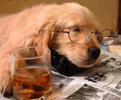 愛犬のしつけに悩んでいませんか？ イメージ1