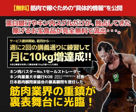 情報商材系lpの製作いたします コピー 文章 はできているがデザインとコーディングがまだの方 Lp制作 ココナラ