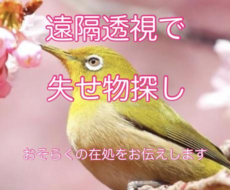 失せ物探し 可能性ピックアップします 遠隔透視による探し物のお手伝いをします その他 占い ココナラ