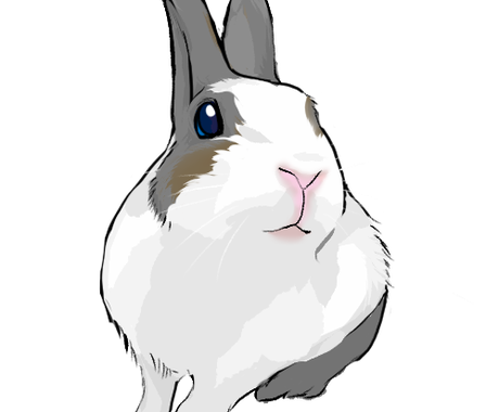 動物のイラスト制作します Snsアイコン 待ち受け 名刺など オリジナルグッズに イラスト作成 ココナラ