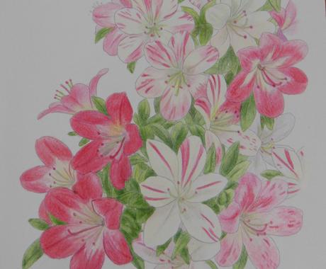 絵手紙に添える言葉考えます 絵手紙にひとこと添えたい人のために 記事 Webコンテンツ作成 ココナラ