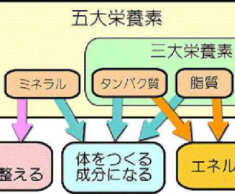 あなたの1日の食事内容から足りない栄養素、摂りすぎている栄養素を算出します‼︎ イメージ1