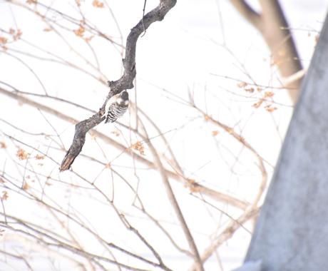 白飛びや黒つぶれで失敗した写真を復元します せっかく撮った写真をキレイにしましょう！
