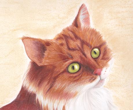 ペットや動物のリアル似顔絵を描きます リアル動物画ならなんでもご相談下さい 爬虫類可 イラスト作成 ココナラ
