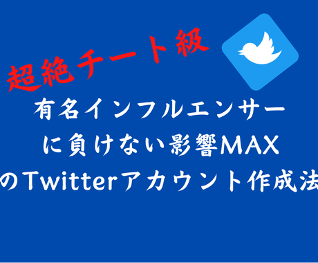 影響力のでるtwitterアカウント作り方教えます 影響力のあるtwitterアカウント作成法 Snsマーケティング ココナラ