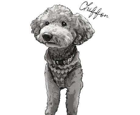 ペットの似顔絵イラスト描きます 印刷した時に写真立てにぴったりのl版サイズです 似顔絵作成 ココナラ