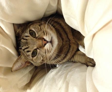 綺麗で可愛い女の子の名前を考えます 赤ちゃんの名付けに悩んでいる方へ その他 ライフスタイル エンタメ ココナラ