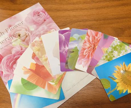 生年月日から性格や相性占います 5項目の診断で特技や潜在能力がわかる 誕生花セラピー 総合運 ココナラ