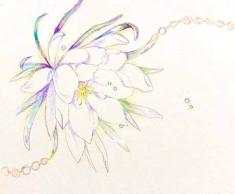 お花のイラストを色鉛筆で描きます お花の絵を飾ろう 生花じゃなくても絵で癒される時間を イラスト作成 ココナラ