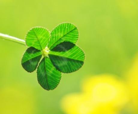 自己カウンセラーです 人との関わりで疲れている方 心苦しいですよね お手伝いさせてください 悩み相談 アドバイス ココナラ