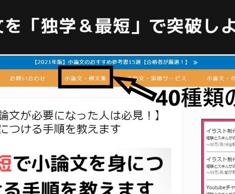 論文の作成をサポートします 小論文を独学で勉強し 大学に合格しました 勉強 受験 学習方法の相談 ココナラ