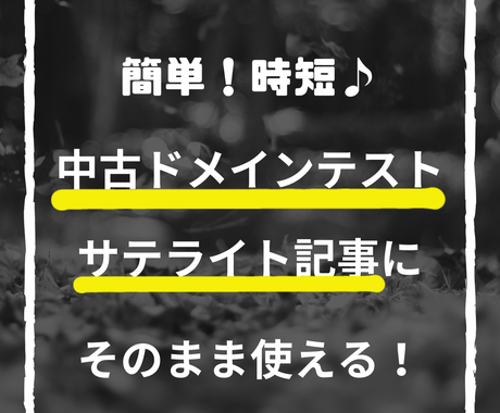 文章自動作成ツールで1万文字以上の記事を作成します 中古ドメインテスト・サテライトサイトにピッタリ♪ 記事・Webコンテンツ作成 ココナラ