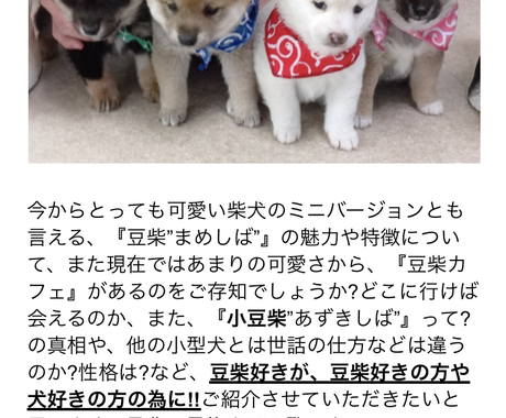 犬ネタ 豆柴厳選 した記事 売ります 犬関連の記事を求めている 書いている 載せている方へ 記事 Webコンテンツ作成 ココナラ