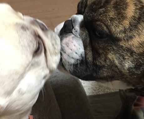 プロの心理カウンセラーがline メール代筆します 意中の彼 彼女に心理をついたlineの代筆おまかせ下さい 恋愛相談 アドバイス ココナラ