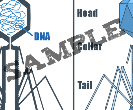サイエンス系イラスト作成します 学会発表のスライドや教材向けのfig作りにお困りの方へ イラスト作成 ココナラ