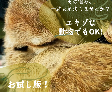 1日1名限定 特殊ペットの飼育相談何でも受けます こちらの商品はお試し版になります ペット 動物の相談 ココナラ 1日1名限定 特殊ペットの飼育相談何でも受けます こちらの商品はお試し版になります ペット 動物の相談 ココナラ