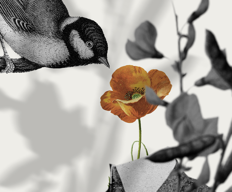 コラージュアートワークお作りします 素材を元にしたものから頂いたお写真 素材を使用しての作成も可 その他 デザイン ココナラ