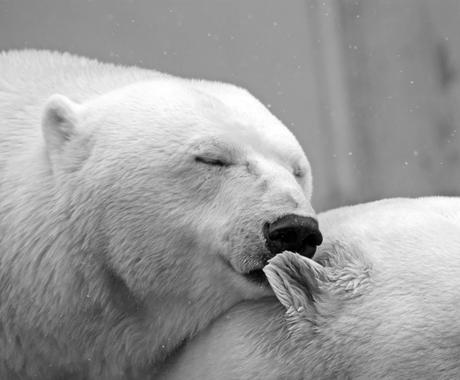 現役女子高生 Jk があなたを癒します 彼女 妹 娘 友達がほしい方 寂しい方向け 悩み相談 アドバイス ココナラ