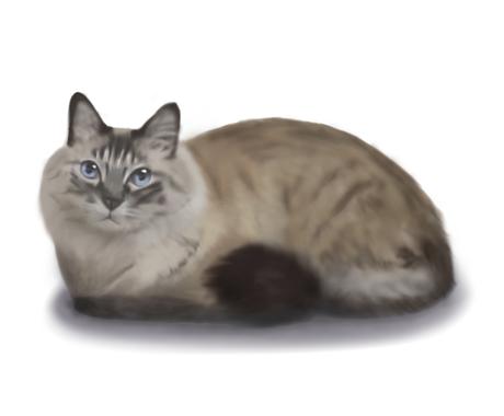 雑誌  イラスト作成  ココナラ