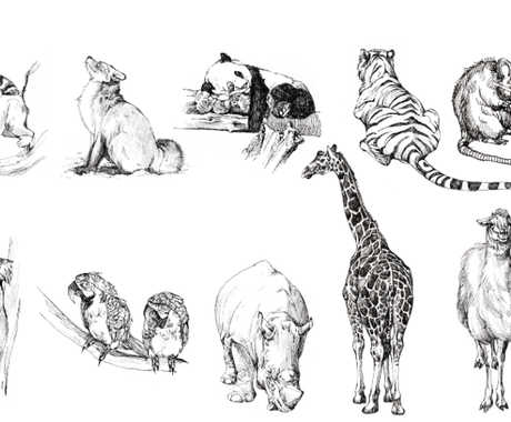 ペット お好きな動物お描きします ます 大好きな動物の絵を素敵なスケッチにしませんか ペットイラスト作成 ココナラ