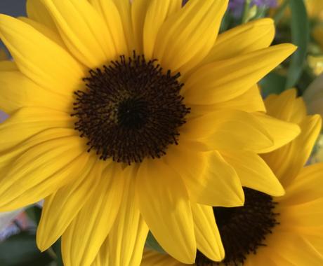 落ち込んだ心に元気が出る言葉を送ります 子育て 仕事 人間関係 恋愛 どんなお悩みでもok 心の悩み相談 ココナラ