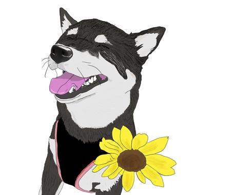 大切なペットのイラストを作成します 可愛いペットのイラストが欲しいと思ったことはありませんか ペットイラスト作成 ココナラ
