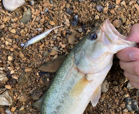 和歌山県御坊市でバス釣りポイント教えます ネットには載っていない和歌山でバス釣りができる野池教えます 趣味 ゲームのアドバイス ココナラ