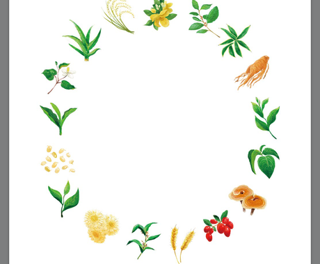 植物や野菜のカットイラスト描きます 素材イラスト 1カットからお受けします リアル イラスト作成 ココナラ