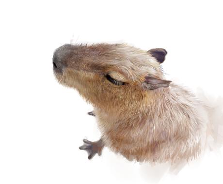 かわいいペットや動物のリアルイラストを描きます プレゼントやお部屋のインテリアにいかがでしょうか イラスト作成 ココナラ