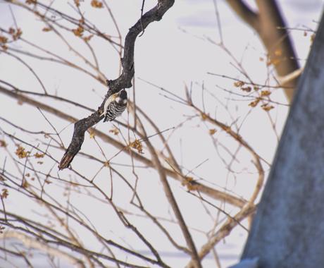 白飛びや黒つぶれで失敗した写真を復元します せっかく撮った写真をキレイにしましょう!