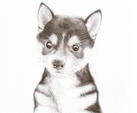 ペン画による繊細なモノクロのイラストを制作します 人 動物 植物 風景 物 あなたの大切を一枚の絵に イラスト作成 ココナラ