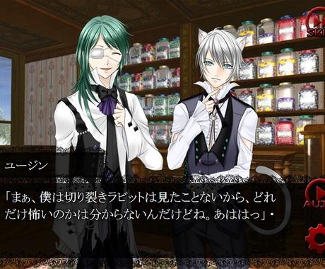 超初心者向け 同人ノベルゲームの作り方を教えます 現役シナリオライターが ゲーム制作方法を一からレクチャー 文章の書き方 アドバイス 感想 ココナラ