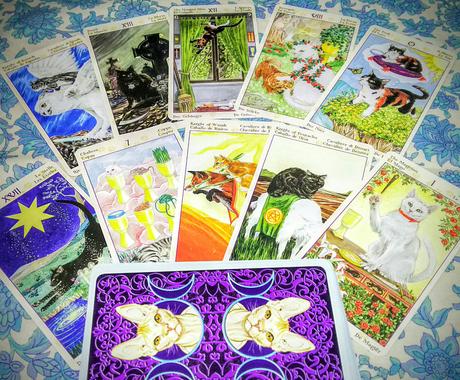 恋愛限定 タロットは見抜く 恋愛風水アドバイス付 変形ヘキサグラム１２枚引き その他 占い ココナラ