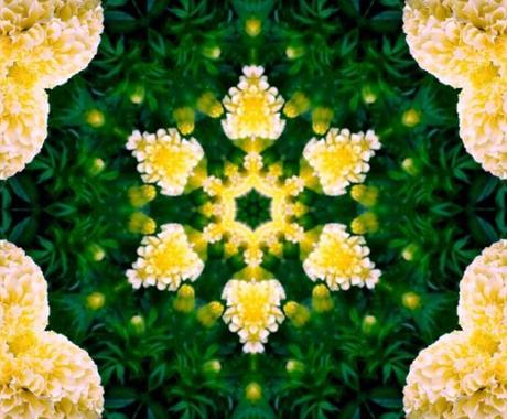 ダナの金の杖 アチューメントします マネー系最強エネルギーを伝授します 占いのやり方 アドバイス ココナラ