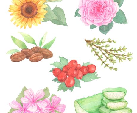 水彩画でイラスト素材を描かせていただきます 丁寧なヒアリング 温かく優しいタッチが得意です イラスト作成 ココナラ