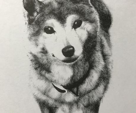 筆ペンで大切なペットの似顔絵を心を込めて制作します 大切なペットなどの肖像画がほしい方へ ペットイラスト作成 ココナラ 筆ペンで大切なペットの似顔絵を心を込めて制作します 大切なペットなどの肖像画がほしい方へ ペットイラスト作成 ココナラ