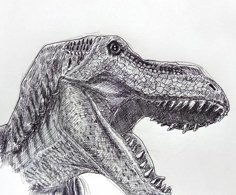 恐竜のボールペン画描きます リアルで迫力満点で男の子にぜひ イラスト作成 ココナラ